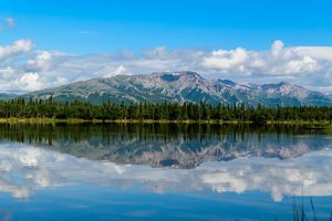 Image pour le quiz L'Alaska