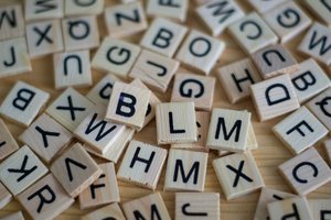 Image pour le quiz Vocabulaire